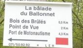 Trail Walking Cerfontaine - La balade du Ballonnet - Photo 3