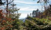 Tour Wandern Rappoltsweiler - Ribeauvillé-Thannenkirch-Ribeauvillé - Photo 17