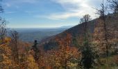 Tour Wandern Rappoltsweiler - Ribeauvillé-Thannenkirch-Ribeauvillé - Photo 10