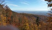 Tour Wandern Rappoltsweiler - Ribeauvillé-Thannenkirch-Ribeauvillé - Photo 9