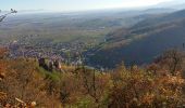 Tour Wandern Rappoltsweiler - Ribeauvillé-Thannenkirch-Ribeauvillé - Photo 4