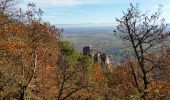 Tour Wandern Rappoltsweiler - Ribeauvillé-Thannenkirch-Ribeauvillé - Photo 3