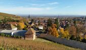 Tour Wandern Rappoltsweiler - Ribeauvillé-Thannenkirch-Ribeauvillé - Photo 1