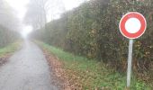 Randonnée Marche Le Perray-en-Yvelines - rando du 12/11/2015 - Photo 4
