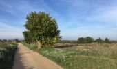 Tour Wandern Saint-Jean-Lasseille - 66 SAINT-JEAN-LASSEILLE, promenade dans les vignes autour de St-Jean - Photo 17