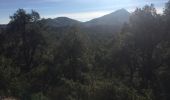 Randonnée Marche Argelès-sur-Mer - 66 ARGELES SUR MER - mas Christine, promenade dans les Albères, par les pistes,sentiers, entre les chênes lièges - Photo 4