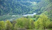 Percorso Marcia Sewen - Les 3 lacs depuis Alfeld - Photo 1