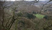 Excursión Otra actividad Les Hautes-Rivières - haute RIVIERE  - Photo 2