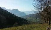 Trail Walking La Sure en Chartreuse - Cota bois - Photo 1