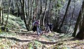 Trail Mountain bike Curemonte - Circuit des sentes - Photo 3