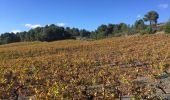 Randonnée Marche Espira-de-l'Agly - 66 ESPIPA DE L'AGLY, promenade entre vignes, pinèdes et garrigues - Photo 20
