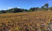 Tocht Stappen Espira-de-l'Agly - 66 ESPIPA DE L'AGLY, promenade entre vignes, pinèdes et garrigues - Photo 20