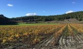 Randonnée Marche Espira-de-l'Agly - 66 ESPIPA DE L'AGLY, promenade entre vignes, pinèdes et garrigues - Photo 18