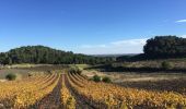 Randonnée Marche Espira-de-l'Agly - 66 ESPIPA DE L'AGLY, promenade entre vignes, pinèdes et garrigues - Photo 16