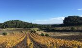 Excursión Senderismo Espira-de-l'Agly - 66 ESPIPA DE L'AGLY, promenade entre vignes, pinèdes et garrigues - Photo 16