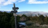 Trail Walking Sigale - Cime CACCIA, SIGALE (06) - Photo 2