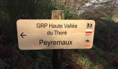 Excursión Otra actividad Lespinassière - roc de peyremaux + refuge - Photo 18