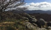 Randonnée Autre activité Lespinassière - roc de peyremaux + refuge - Photo 15