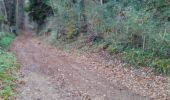 Trail Mountain bike Beaulieu-sur-Dordogne - Balade en Bellocois et Xaintrie - Photo 2