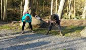 Trail Nordic walking Incourt - 2015-12-03 MNJ Piétrebais - Photo 1