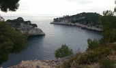 Tocht Stappen Cassis - Les Calanques dr Cassis - Photo 2