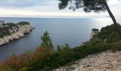 Tocht Stappen Cassis - Les Calanques dr Cassis - Photo 1