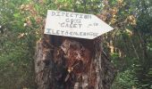 Excursión Senderismo Cilaos - le tour de palmiste rouge - Photo 1