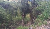 Trail Walking Cilaos - le tour de palmiste rouge - Photo 7
