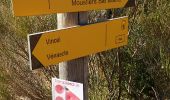 Trail Walking Moustiers-Sainte-Marie - Moustiers1 - Photo 7