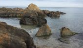 Tour Wandern Argelès-sur-Mer - 66 PORT-ARGELES, les quais, le port, LE RACOU, par les plages - Photo 13