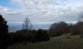 Randonnée Marche Saint-Jean-en-Royans - col de l'echarasson - Photo 3