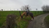 Randonnée Cheval Thimister-Clermont - val dieu froidthier aubel  - Photo 1