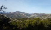 Tocht Stappen Buis-les-Baronnies - buis les baronnies 3 - Photo 4