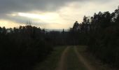 Trail Walking Lintgen - prettingen - Photo 3