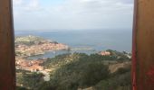 Tour Wandern Collioure - fort  saint elme  - Photo 1