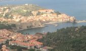 Tour Wandern Collioure - fort  saint elme  - Photo 2