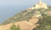 Tour Wandern Collioure - fort  saint elme  - Photo 5
