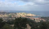 Randonnée Marche Collioure - 66 COLLIOURE, promenade dans le Vignoble du petit consolation aux forts - Photo 18