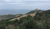 Trail Walking Collioure - 66 COLLIOURE, promenade dans le Vignoble du petit consolation aux forts - Photo 17