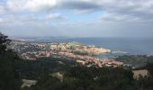 Trail Walking Collioure - 66 COLLIOURE, promenade dans le Vignoble du petit consolation aux forts - Photo 16