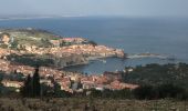 Randonnée Marche Collioure - 66 COLLIOURE, promenade dans le Vignoble du petit consolation aux forts - Photo 15