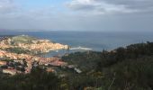 Trail Walking Collioure - 66 COLLIOURE, promenade dans le Vignoble du petit consolation aux forts - Photo 14