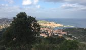 Randonnée Marche Collioure - 66 COLLIOURE, promenade dans le Vignoble du petit consolation aux forts - Photo 13