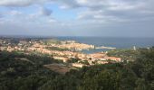 Randonnée Marche Collioure - 66 COLLIOURE, promenade dans le Vignoble du petit consolation aux forts - Photo 10