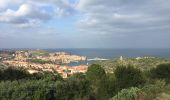 Randonnée Marche Collioure - 66 COLLIOURE, promenade dans le Vignoble du petit consolation aux forts - Photo 9