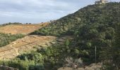 Randonnée Marche Collioure - 66 COLLIOURE, promenade dans le Vignoble du petit consolation aux forts - Photo 8