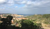 Trail Walking Collioure - 66 COLLIOURE, promenade dans le Vignoble du petit consolation aux forts - Photo 7