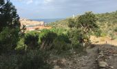 Trail Walking Collioure - 66 COLLIOURE, promenade dans le Vignoble du petit consolation aux forts - Photo 6
