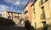 Tocht Stappen Collioure - 66 COLLIOURE, promenade dans le Vignoble du petit consolation aux forts - Photo 3