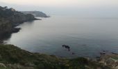 Tour Wandern Collioure - 66 COLLIOURE, jusqu'à PORT-VENDRES par les collines et la route en Bord de mer  - Photo 19